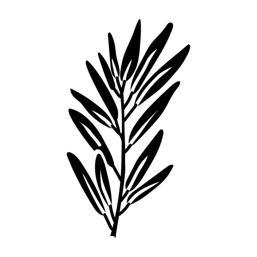 branch of rosemary. Culinary seasonings and spices, hand-drawn. A of sketches in small details. A black outline on a white background. illustration. Seasonings, spices, food additives vector