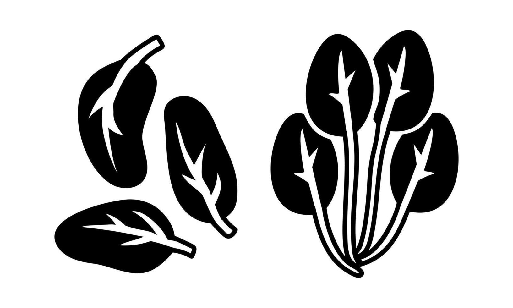 Spinach. bunch and leaves set. Culinary seasonings and spices, hand-drawn. of sketches in small details. A black outline on a white background. illustration. Seasonings, spices, food additives vector