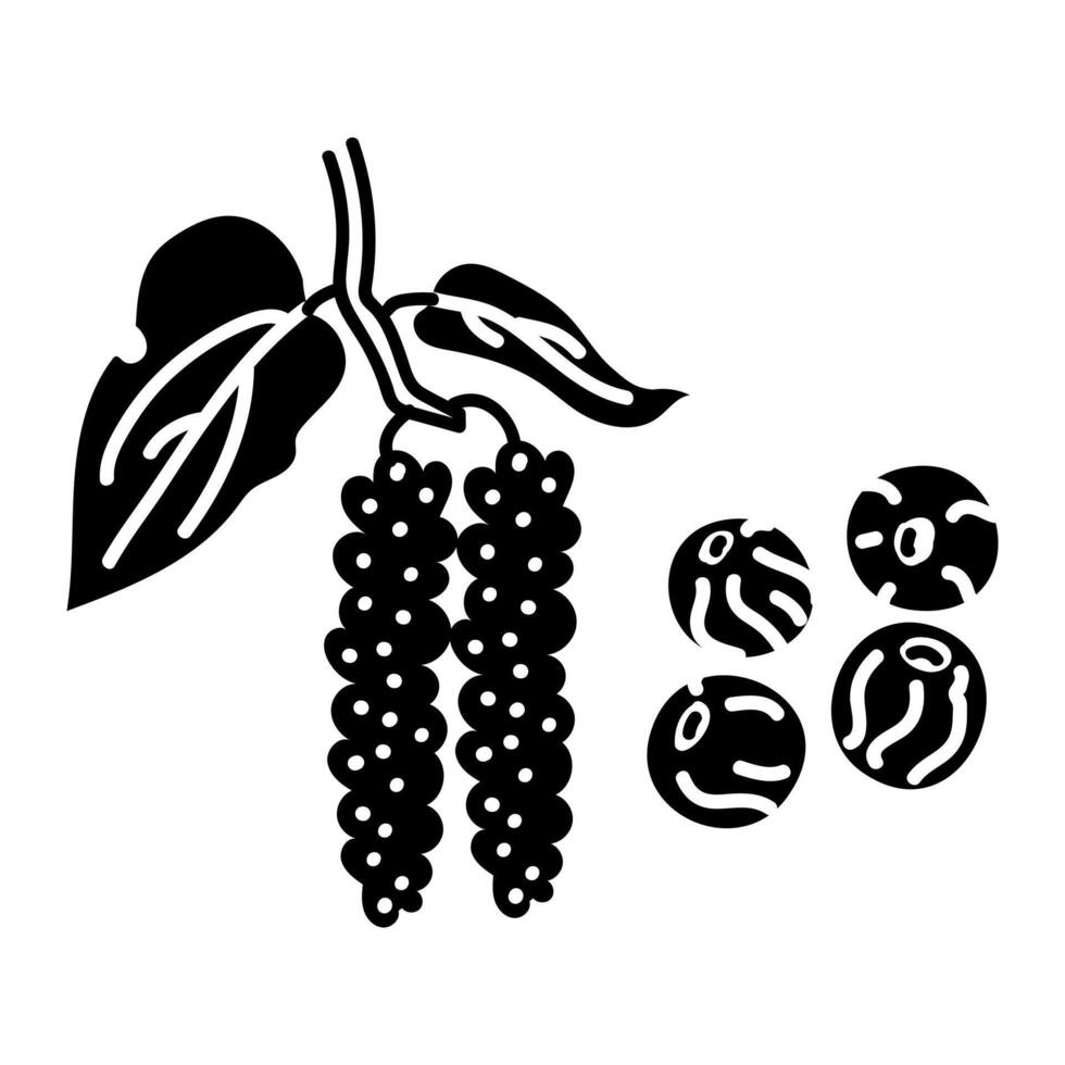 hand-drawn illustration of a pepper branch with pepper peas in the style of an engraving. A sketch of a plant with pepper peas highlighted on a white background. A branch with seasoning vector