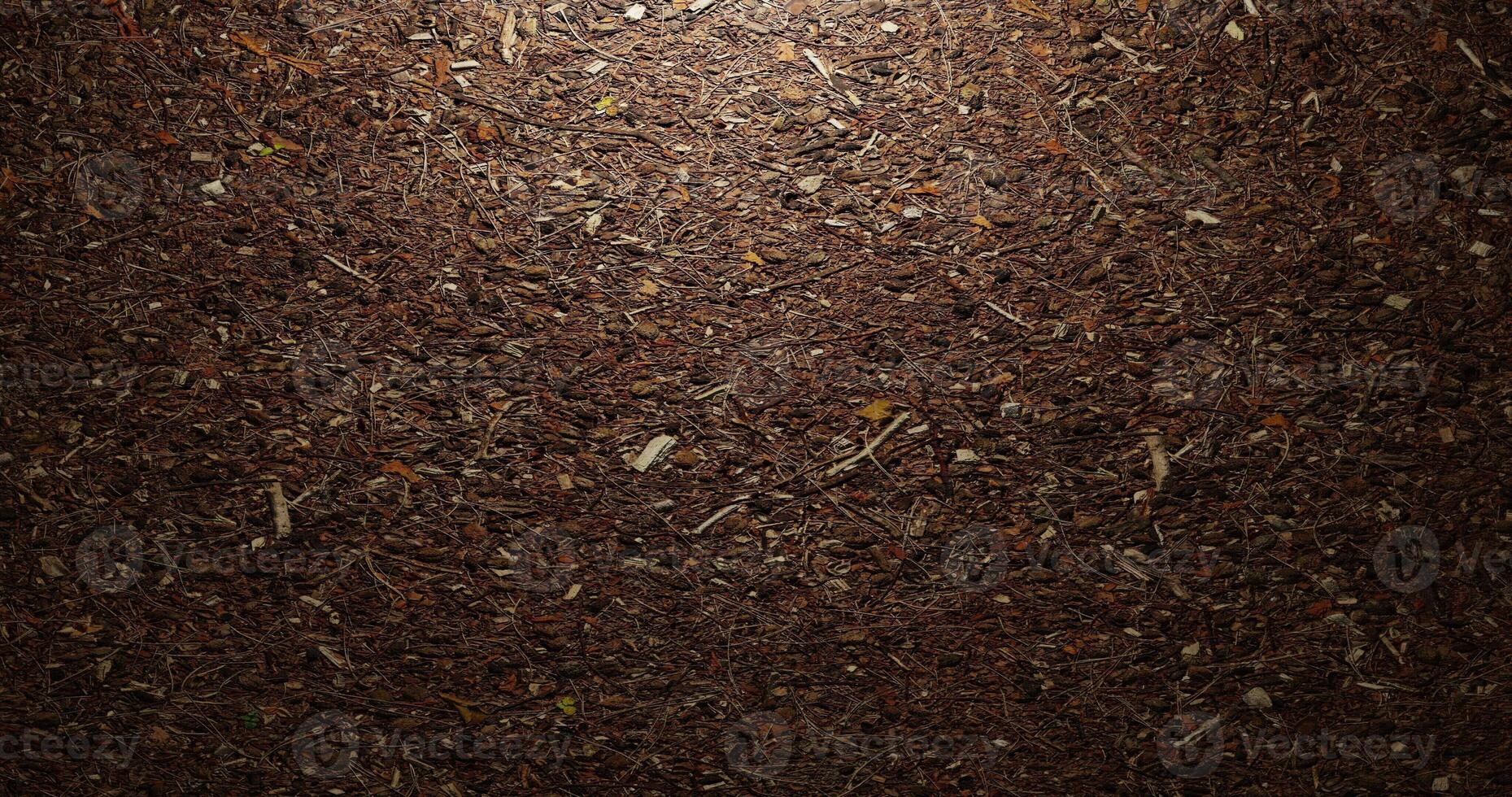 a dark brown dirt surface with a light shining on it. Forest soil texture. Top view point. Soil with dry leaves and stems. Suitable for surface, display, website, wallpaper, celebration, inspiration photo