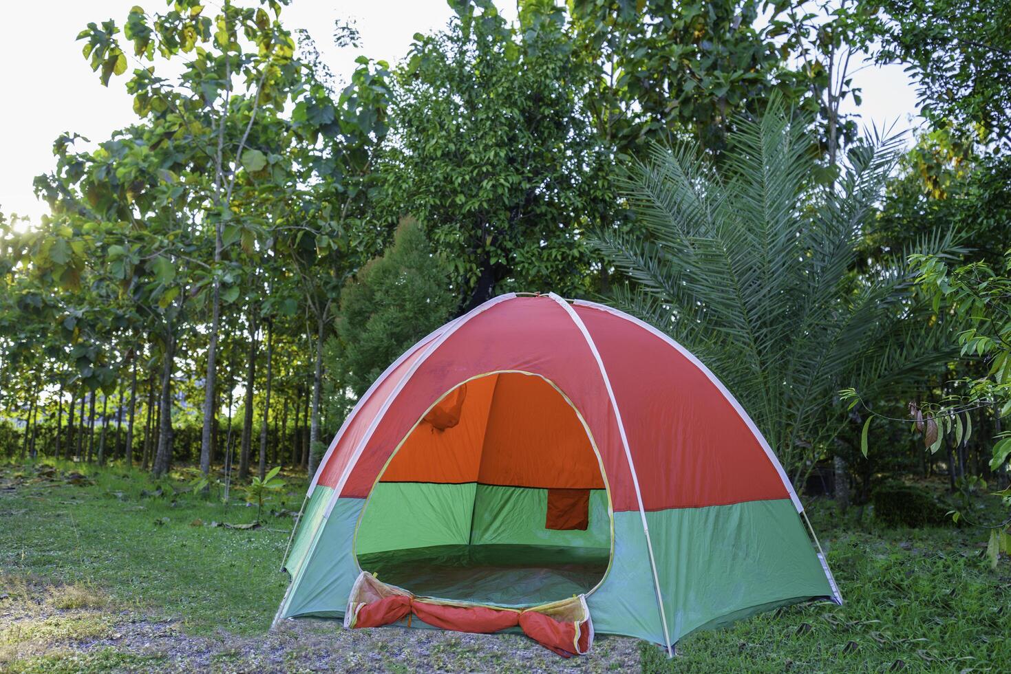 Red tent on green grass, large forest background, daytime. photo