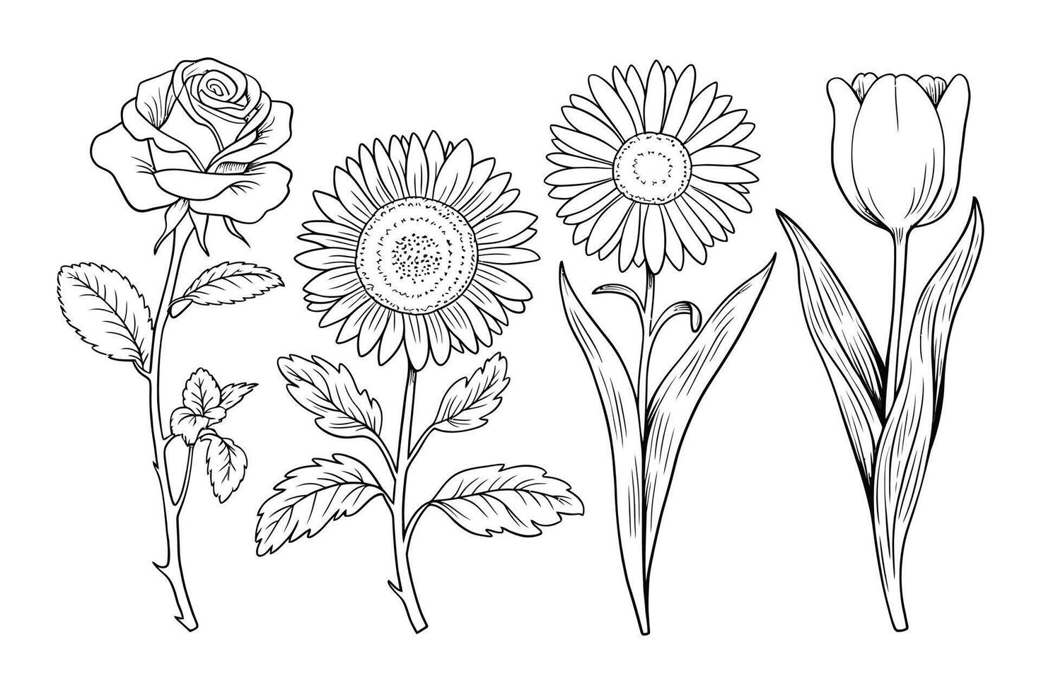 Delicate Floral Strokes vector