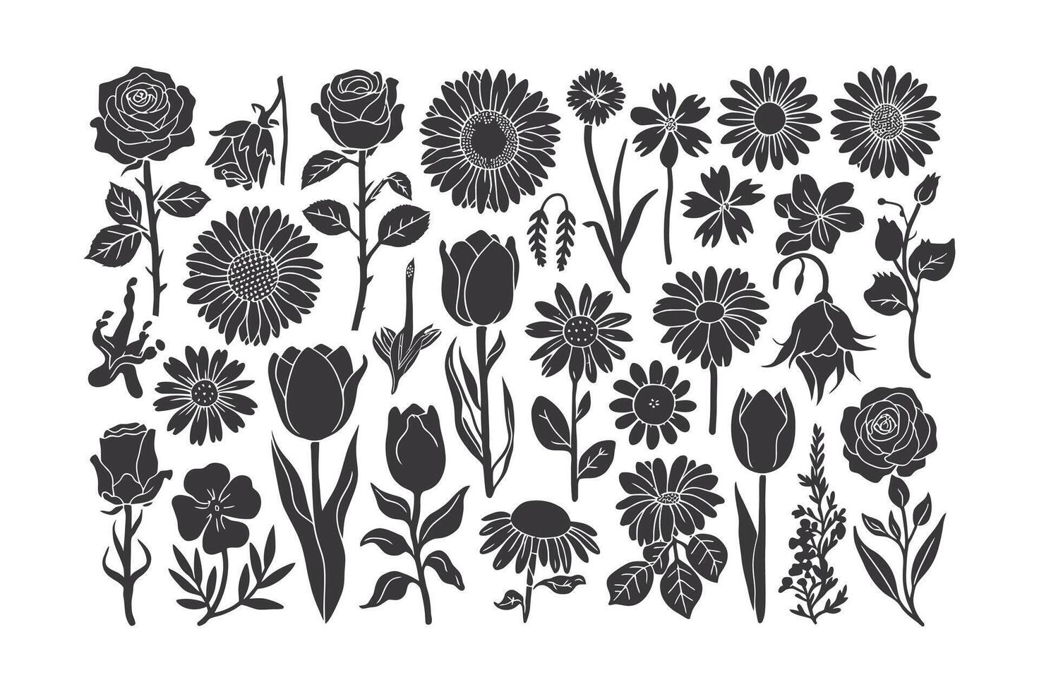 Elegant Petal Lines vector