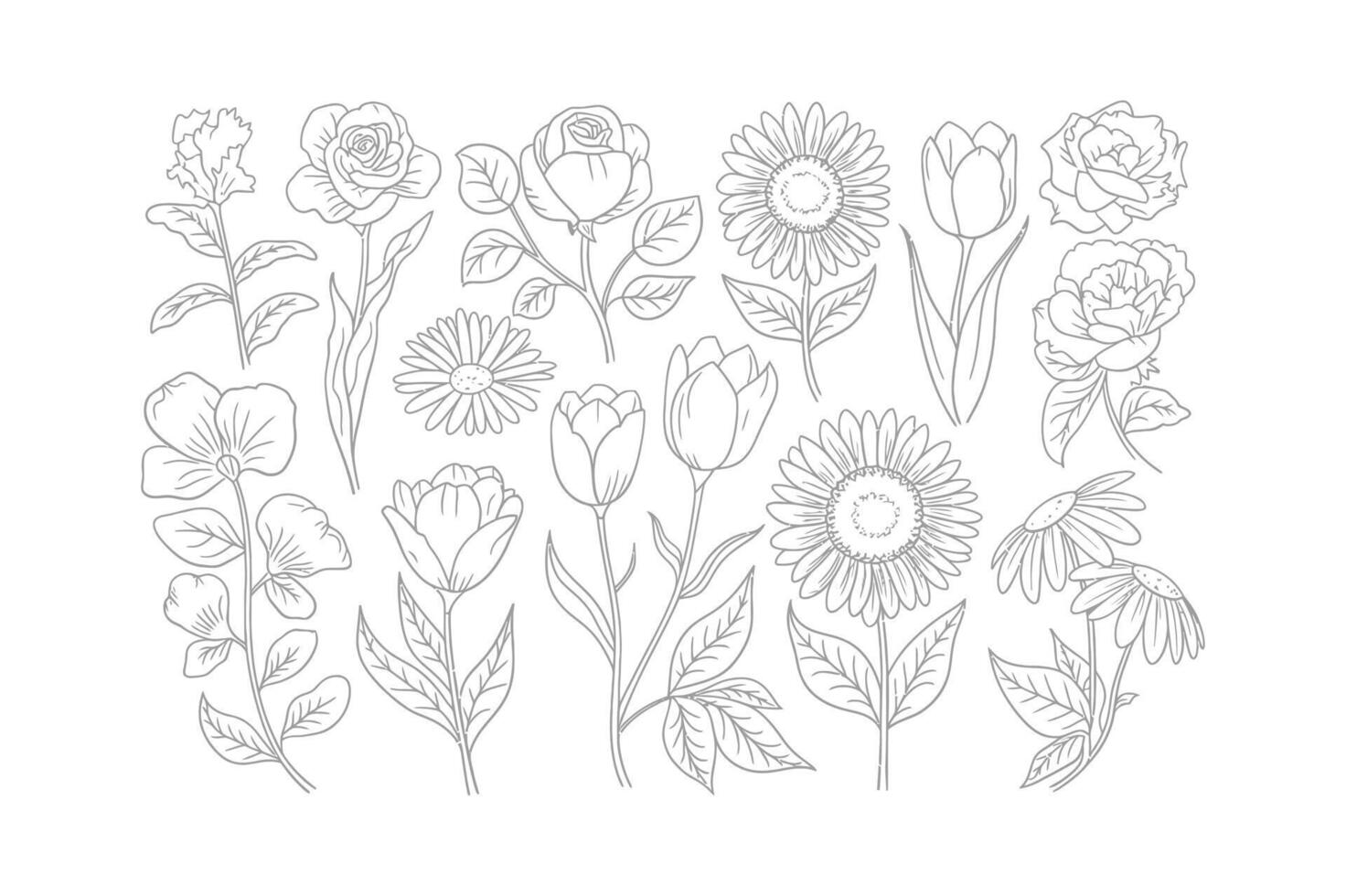 Petal Grace Linework vector