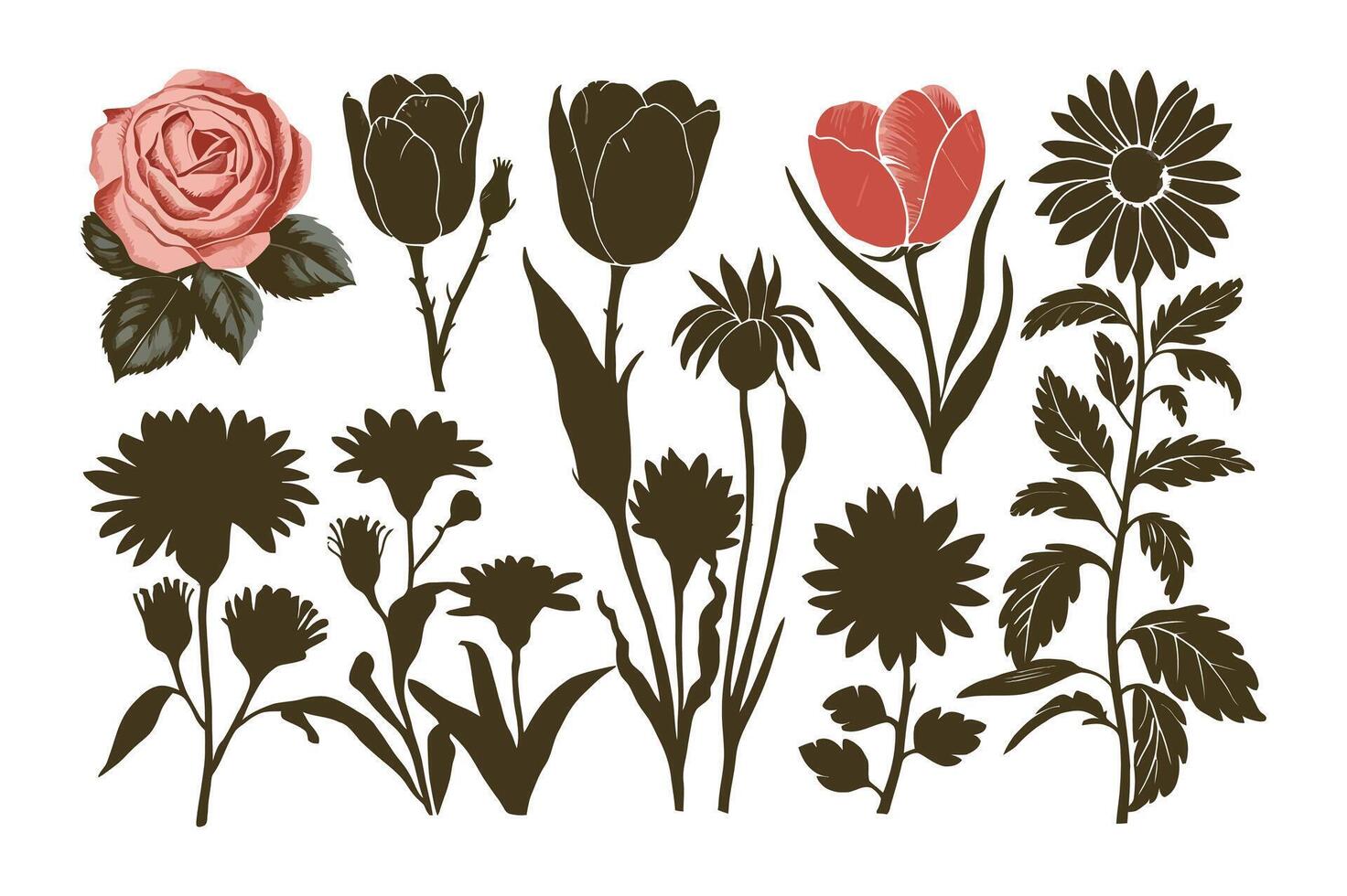 Floral Essence Draw vector
