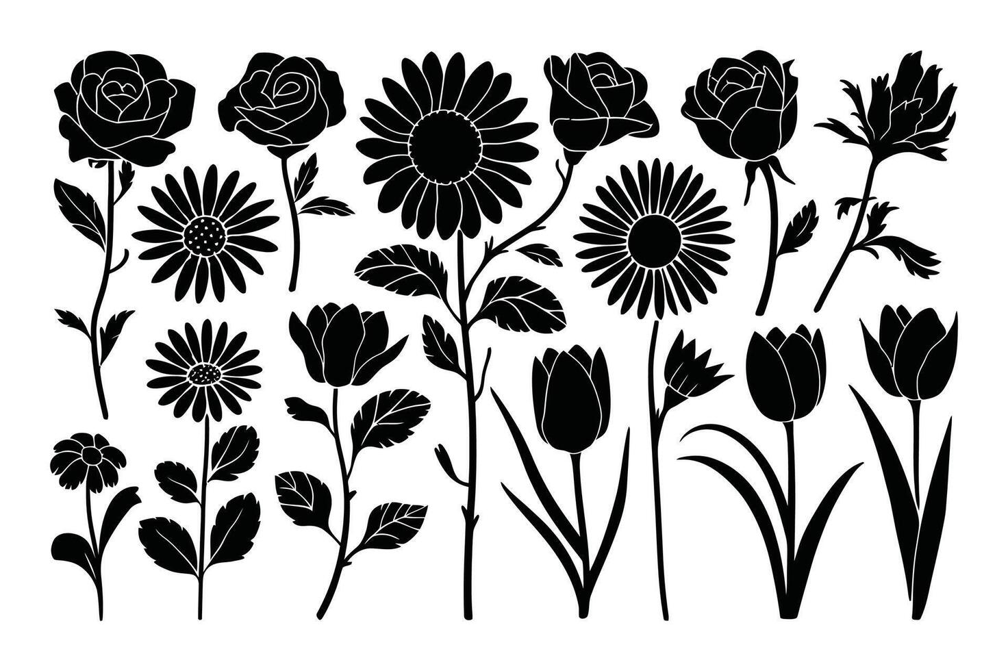 Linear Petal Harmony vector