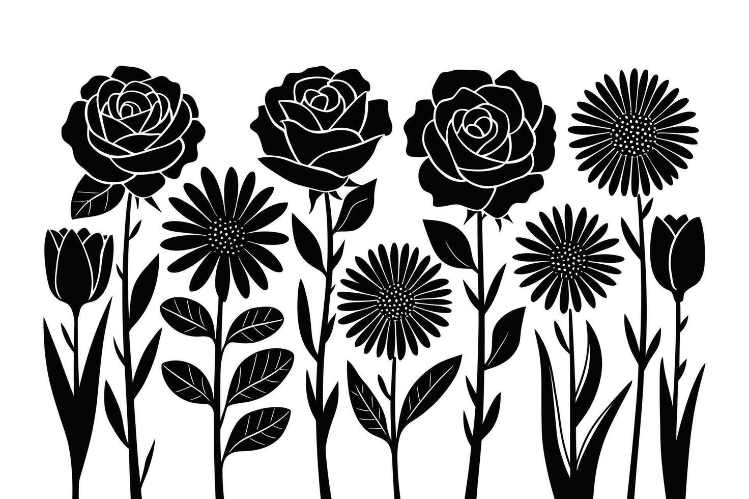Abstract Petal Lines vector