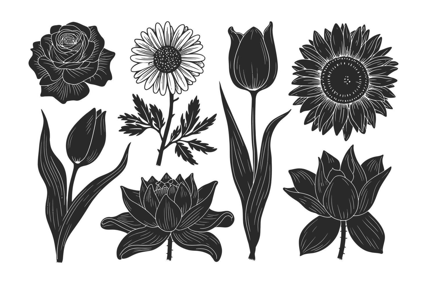 Petal Stroke Minimalism vector