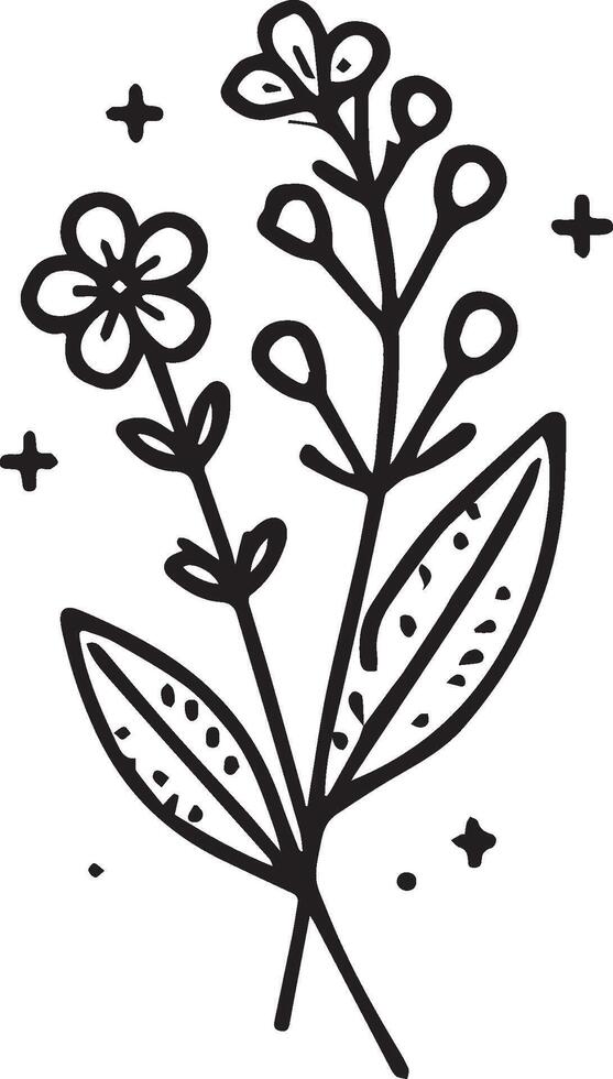 simple flower coloring pages, Coloring pages for kids, hand drawing Lavender flower sketch art of, blossom Lavender flower line art illustration, floral garden for beautiful Lavender flower vector