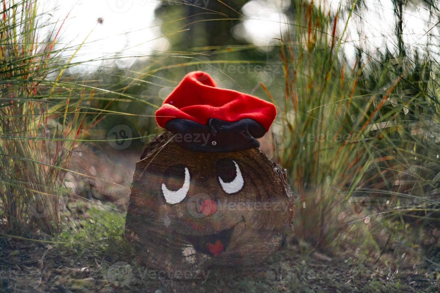 Object representing Catalan Christmas called Caga tio photo