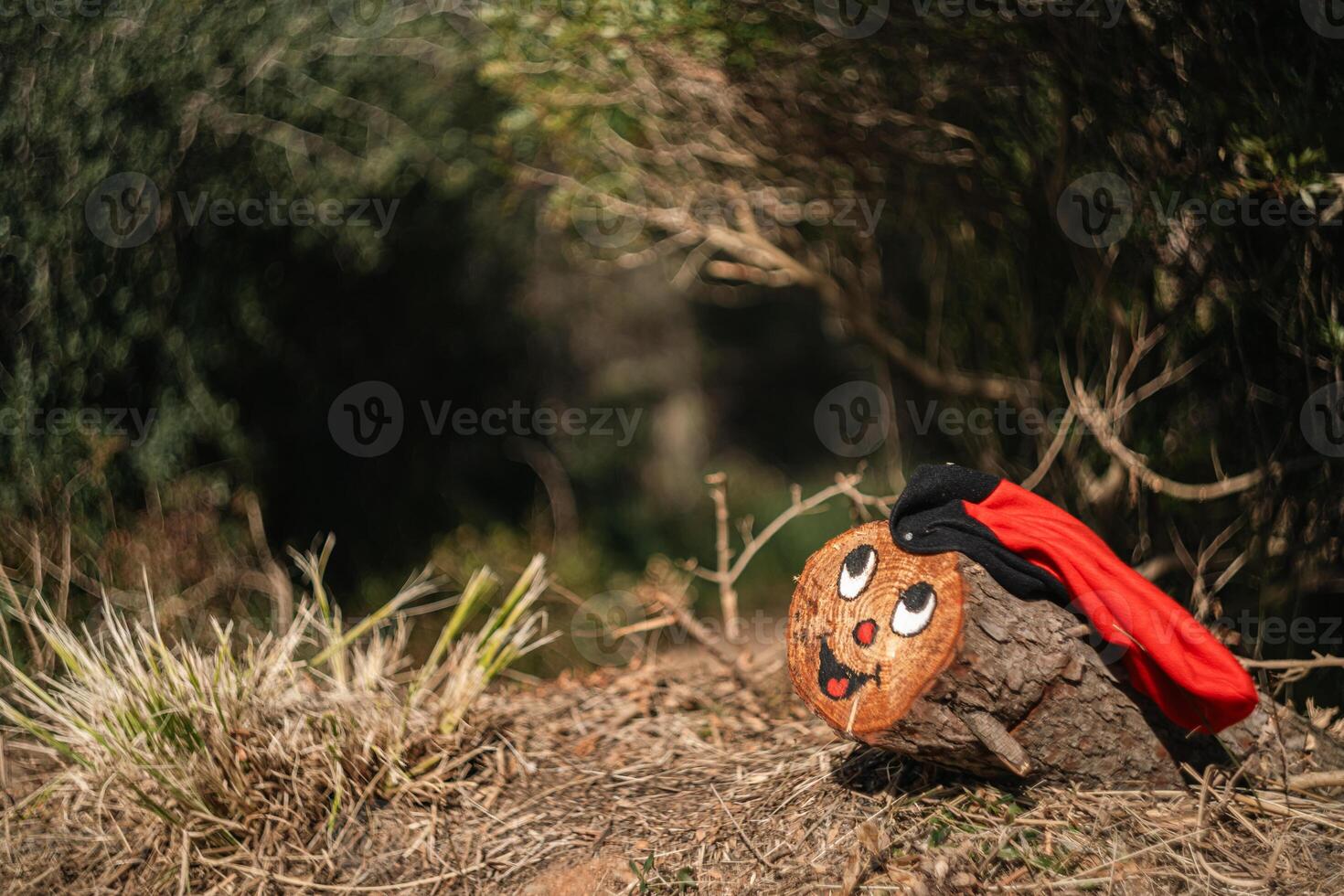 Christmas object in a natural setting from the Catalan tradition called Caga tio. photo