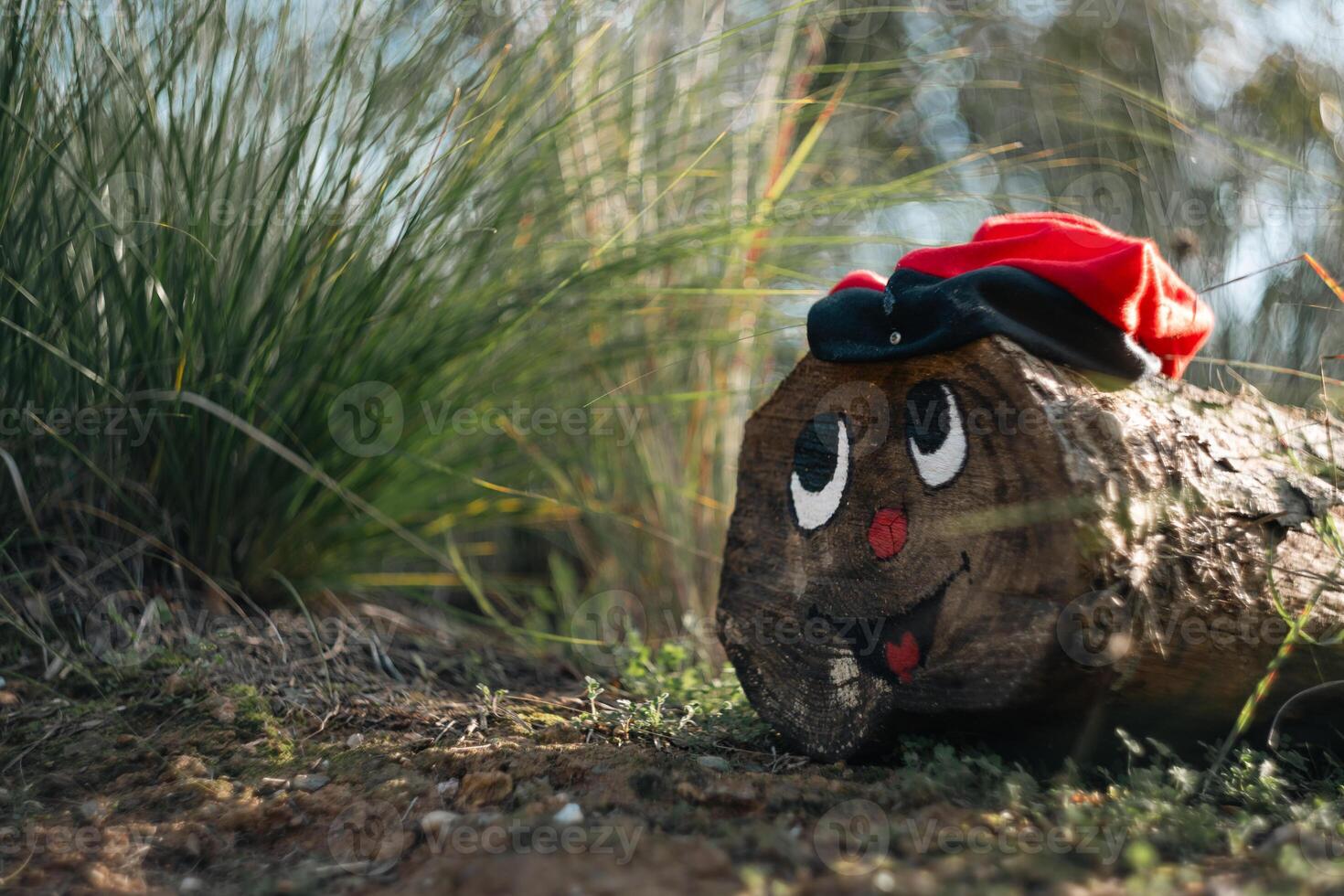 Close-up of the Caga tio, a Christmas object from Catalan culture, in the forest. photo