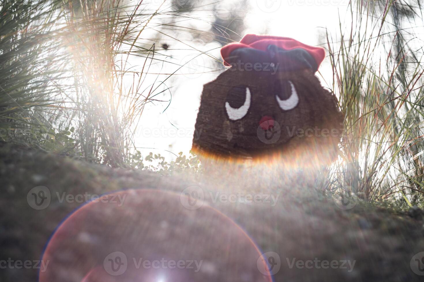 Caga tio, a Christmas object from Catalan culture illuminated by the sun in the forest. photo