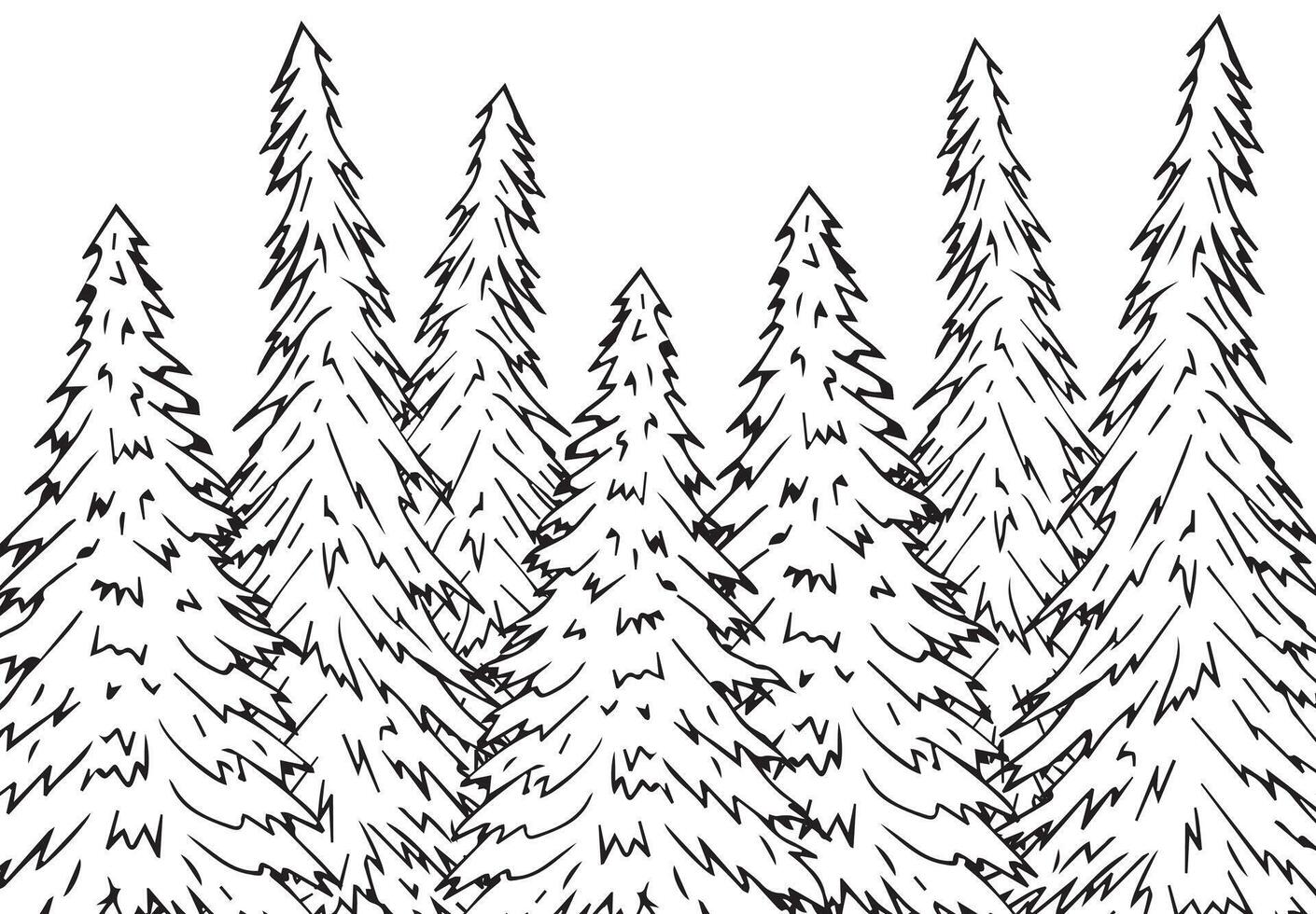 Hand drawn sketch spruce forest vector