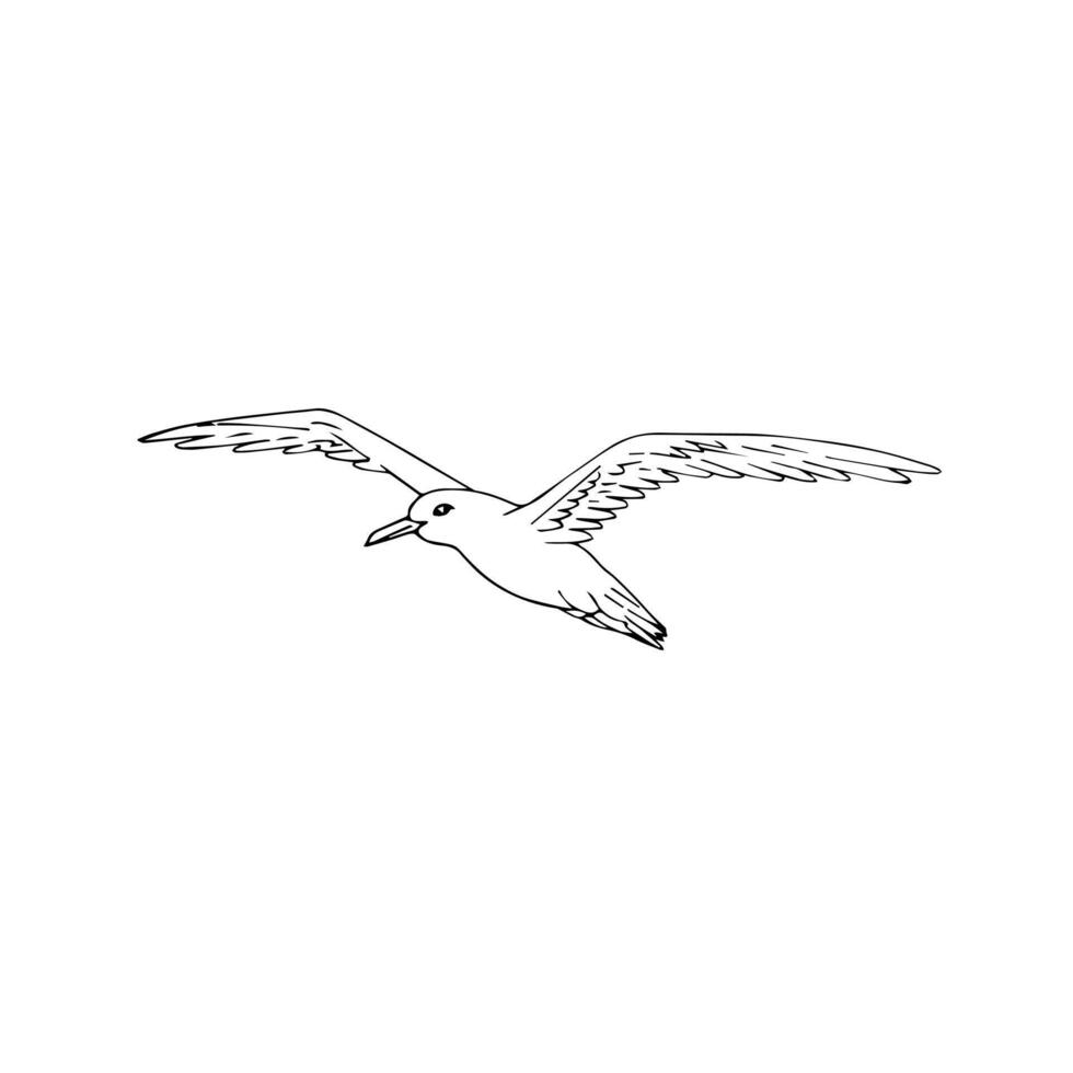 Hand drawn doodle sketch flying seagull vector