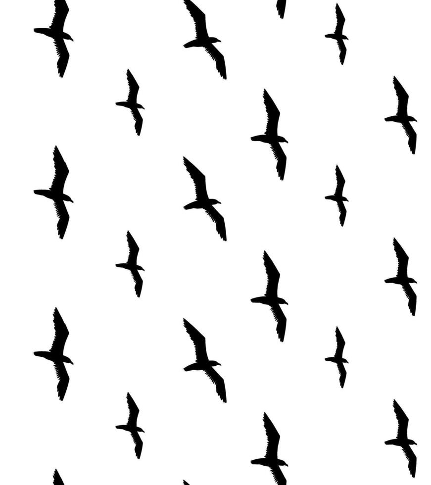 Seamless pattern of seagull birds flock vector