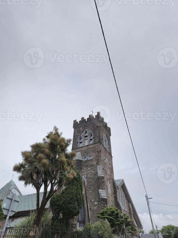 Urban Skyline with Tree, Cloudy Sky and Building Facade photo