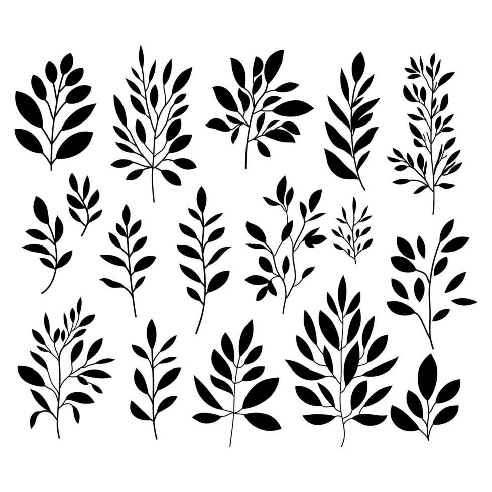 Hand drawn floral elements. set botanical illustration. Minimalist plant symbols. Black silhouette branches . vector