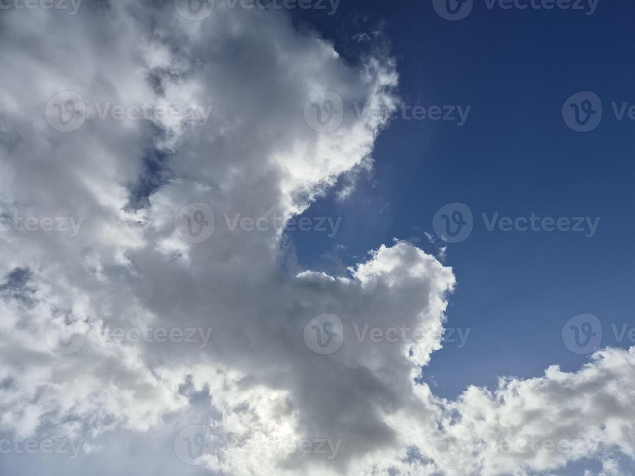 White fluffy cumulus clouds in the summer sky photo