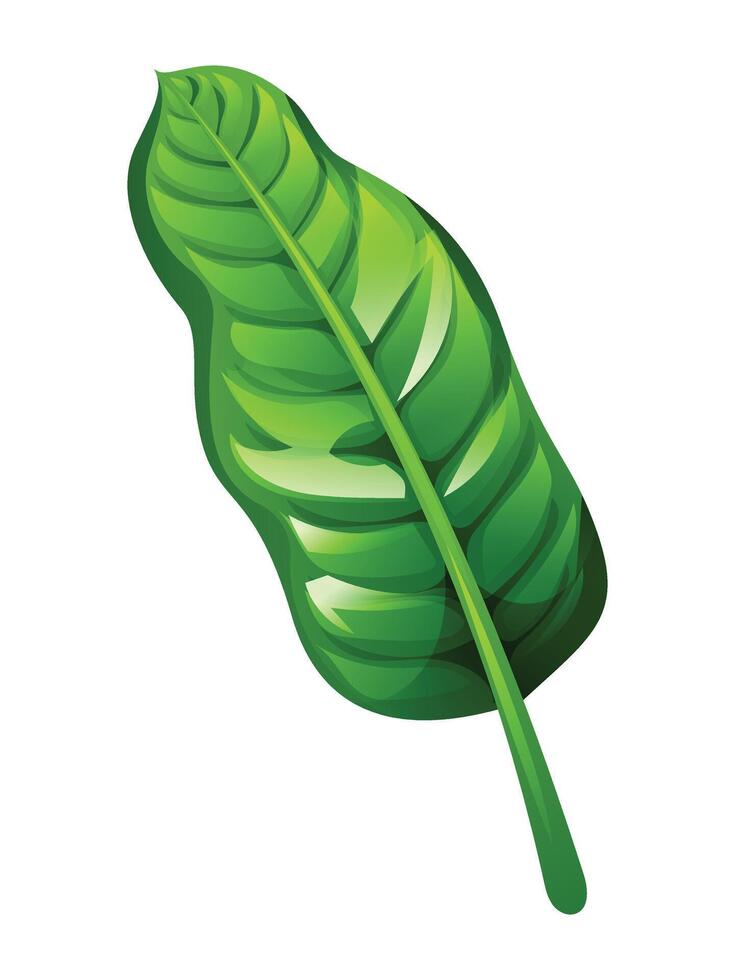 Tropical leaf cartoon illustration vector