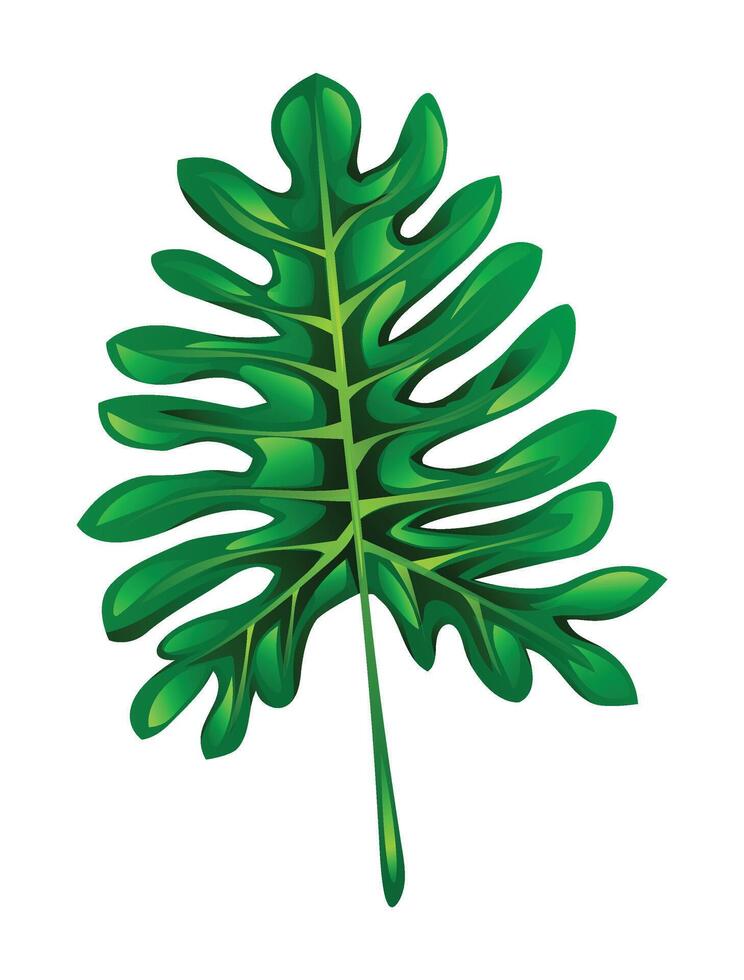 Exotic philodendron split leaf cartoon illustration vector