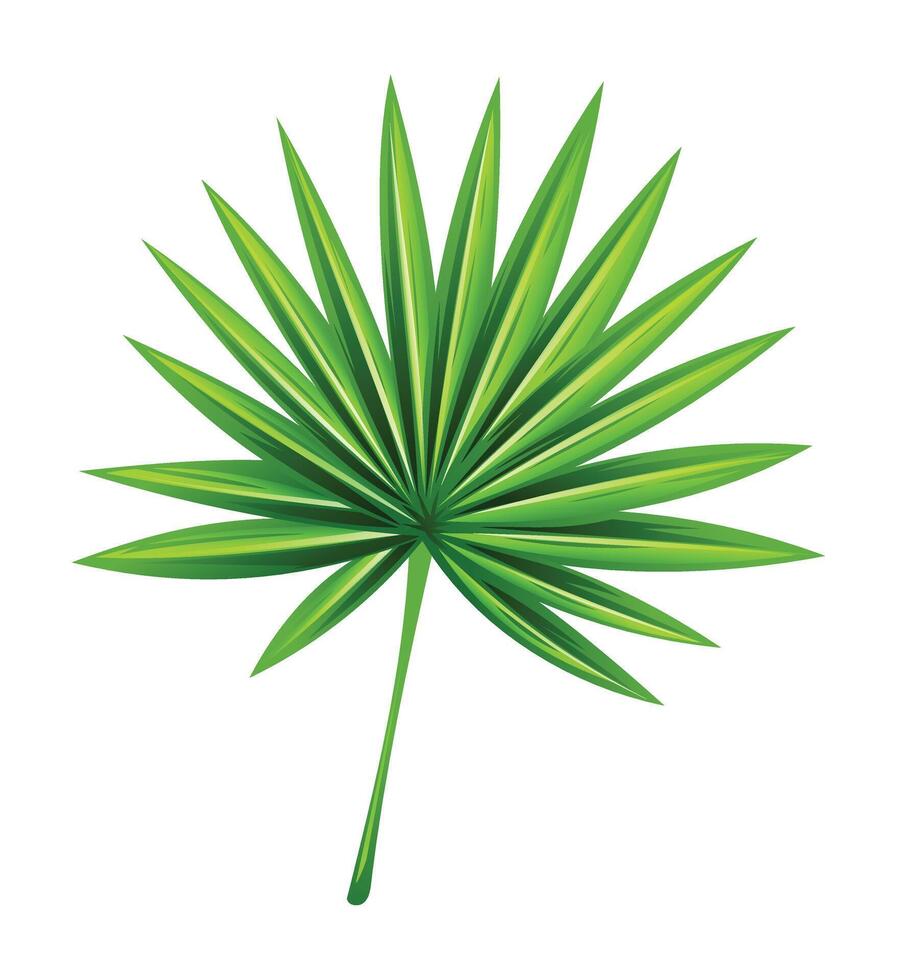 Fan palm leaf cartoon illustration vector