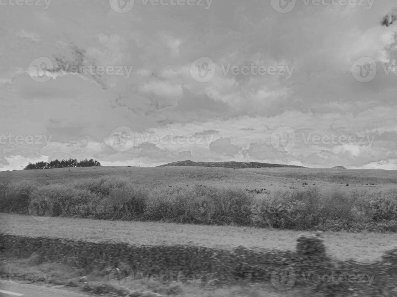 Cloudy Sky Over Grassland with Cumulus Clouds and Plants photo