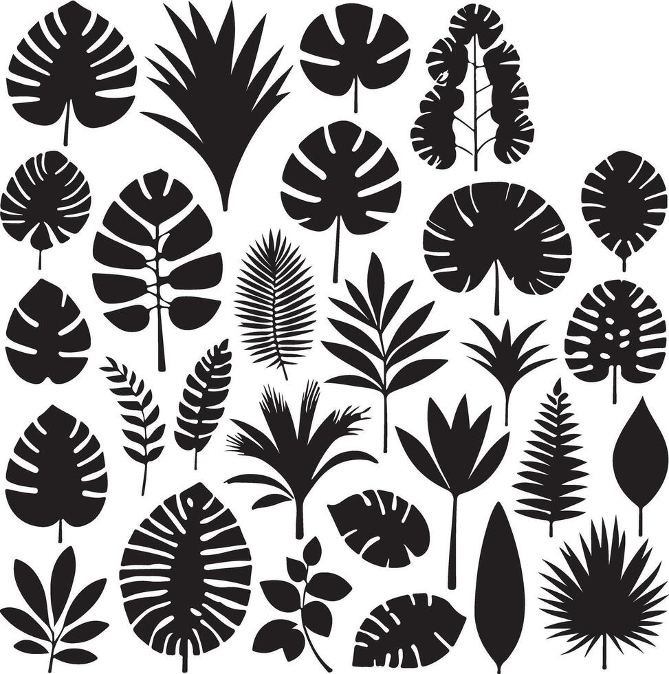 illustration set of cartoon tropical plant silhouettes Features a variety of exotic leaves with funky and groovy decorative elements Perfect for design projects vector