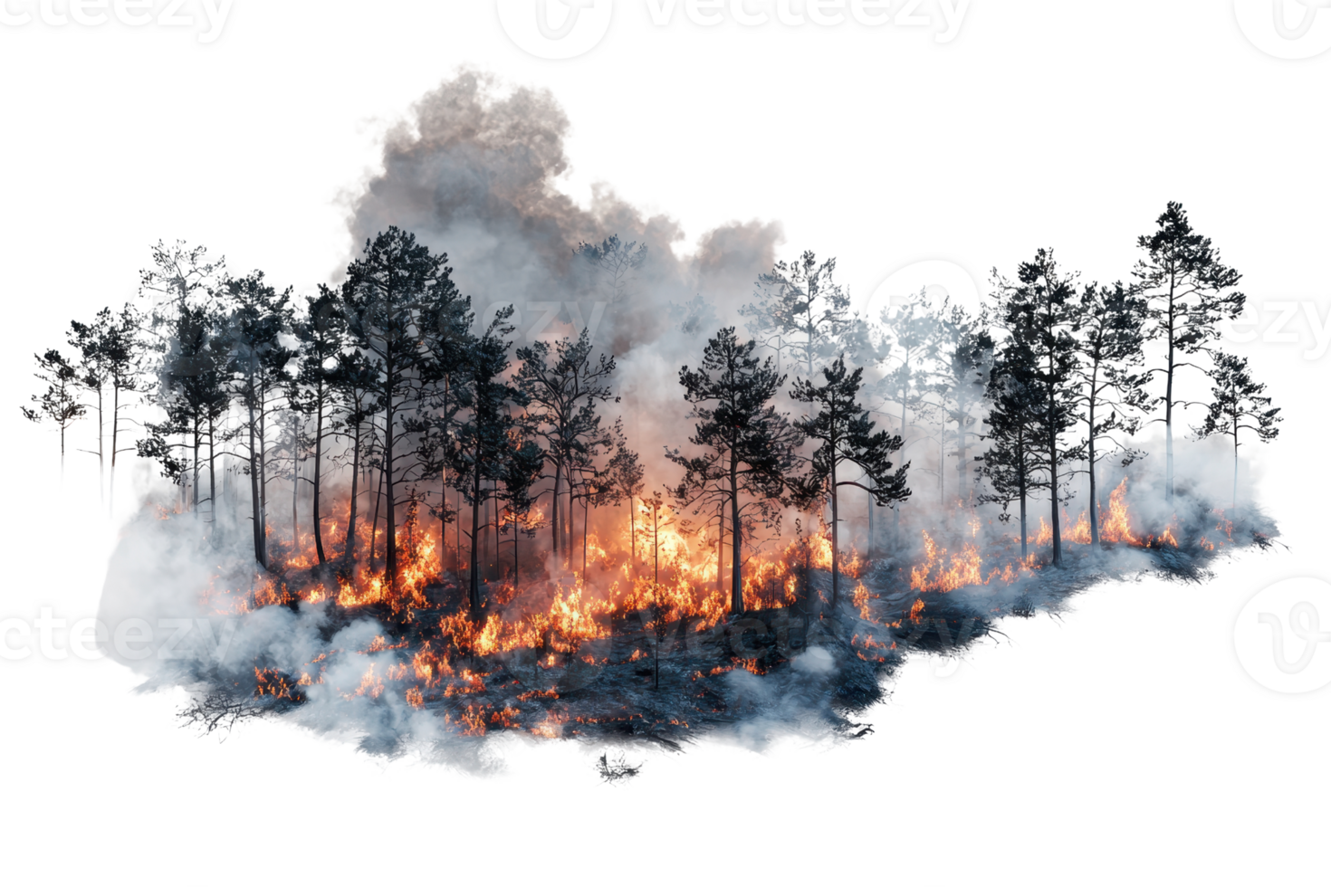 A forest engulfed in flames, with thick smoke rising amidst the burning trees. png