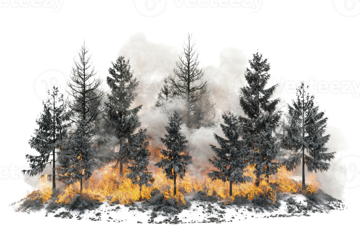 A forest engulfed in flames, with smoke billowing around tall, dark trees, illustrating a dramatic scene of wildfire. png