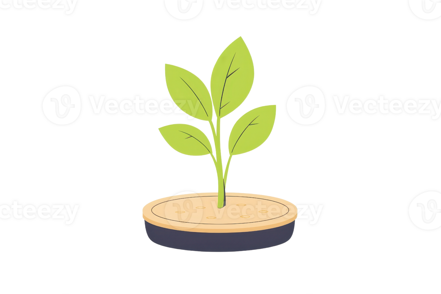 A small green plant with several leaves growing from a circular base. png
