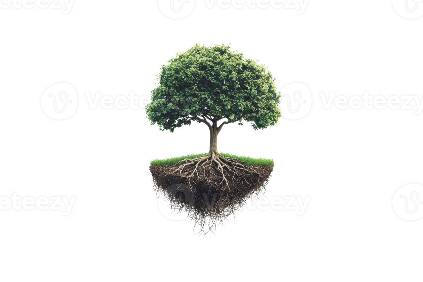 A vibrant tree with lush green foliage and visible roots, symbolizing growth and stability. png