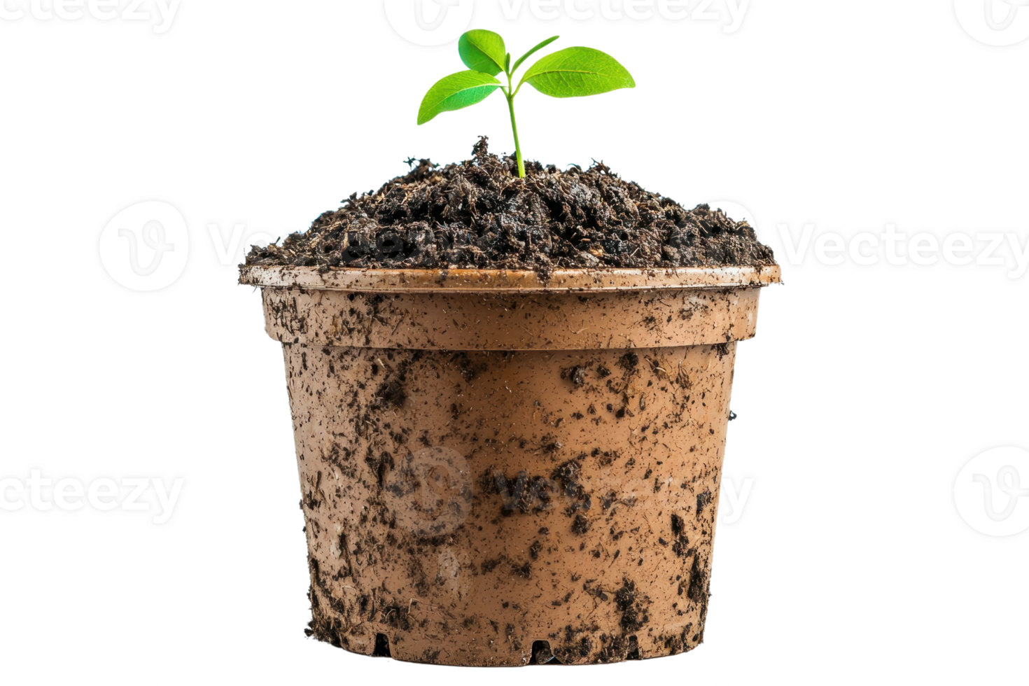 A small green seedling grows from dark soil in a brown clay pot, symbolizing new life and growth. png