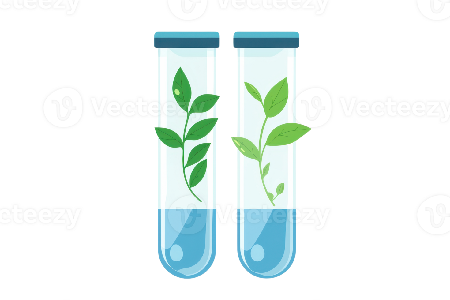 Two test tubes filled with water, each containing vibrant green leaves, representing a blend of nature and science. png