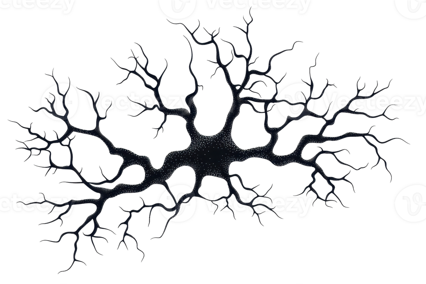 A dark, intricate network resembling tree branches or neurons, showcasing a complex structure with branching patterns. png
