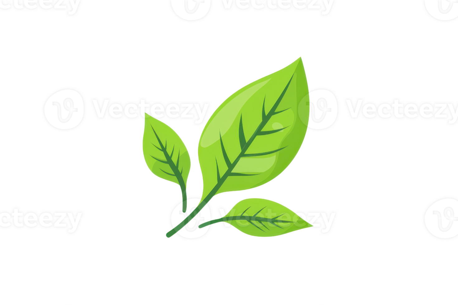 A vibrant green plant with three leaves emanating from a slender stem. png
