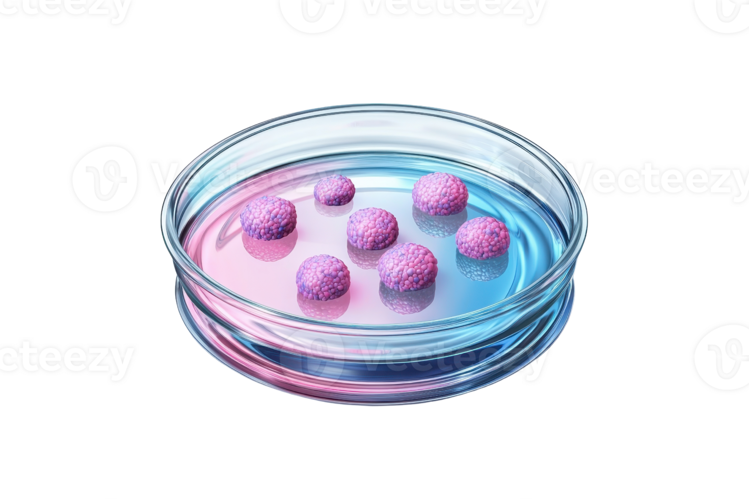 A vibrant petri dish containing several round, pinkish-purple spheres arranged in a colorful liquid. png
