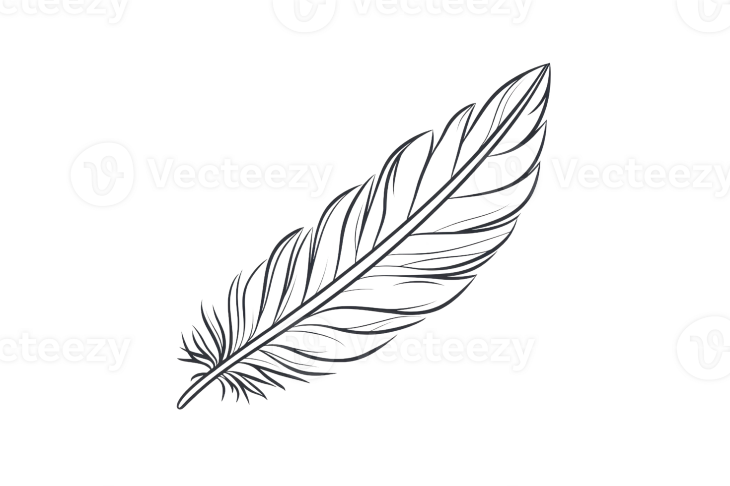 A detailed feather with intricate vein patterns and a sleek profile, showcasing its natural elegance and grace. png