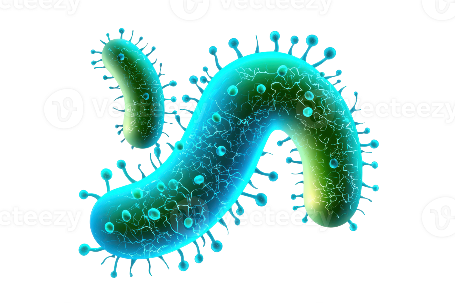 A colorful, stylized representation of a bacteria with various shapes and protrusions, emphasizing its unique structure. png
