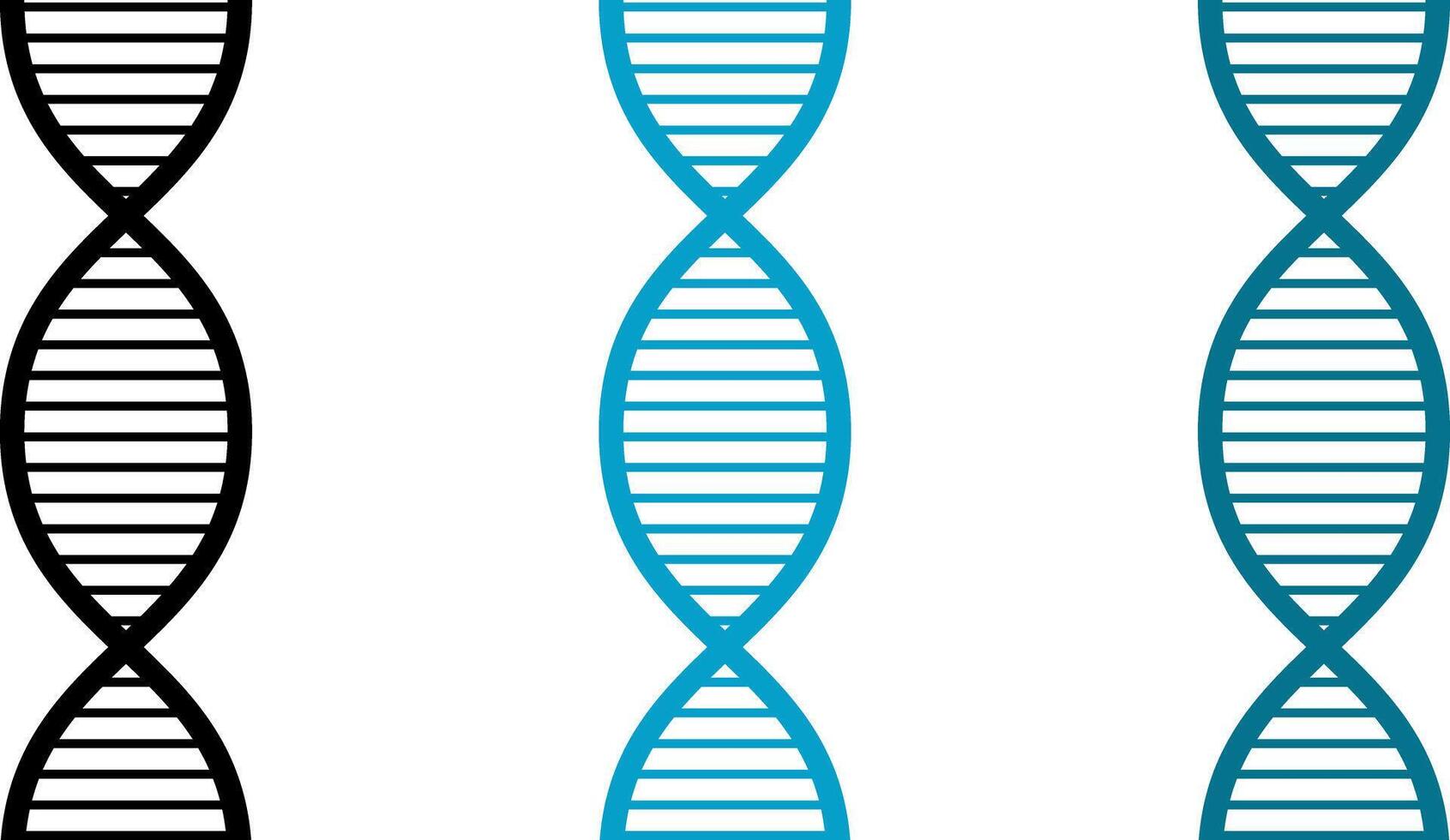 DNA illustration, for use on medical topics vector
