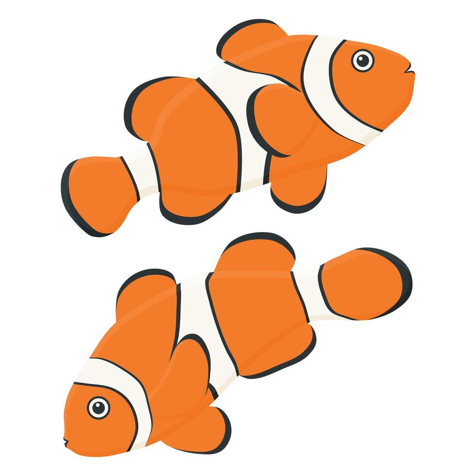 Clown Fish Underwater Wild Animal. Cute Clown Fish Element. vector