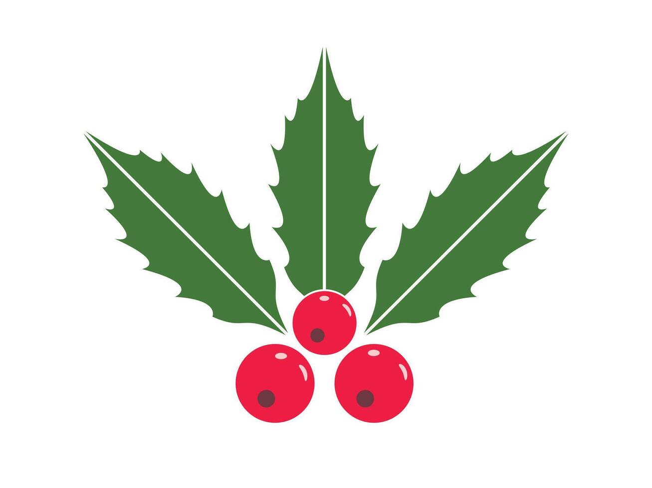 Holly berry icon. Branch with red berries and green leaves. Christmas symbol. Christmas Mistletoe icon With White Background. vector