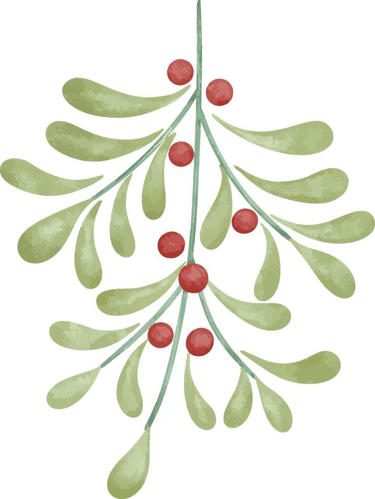 Hanging christmas mistletoe watercolor illustration doodle hand drawn icon symbol cute decoration xmas holly berries vector