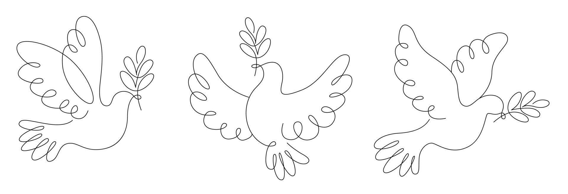 Dove, pigeon symbol of love peace and freedom in simple line , flying dove with olive branch vector