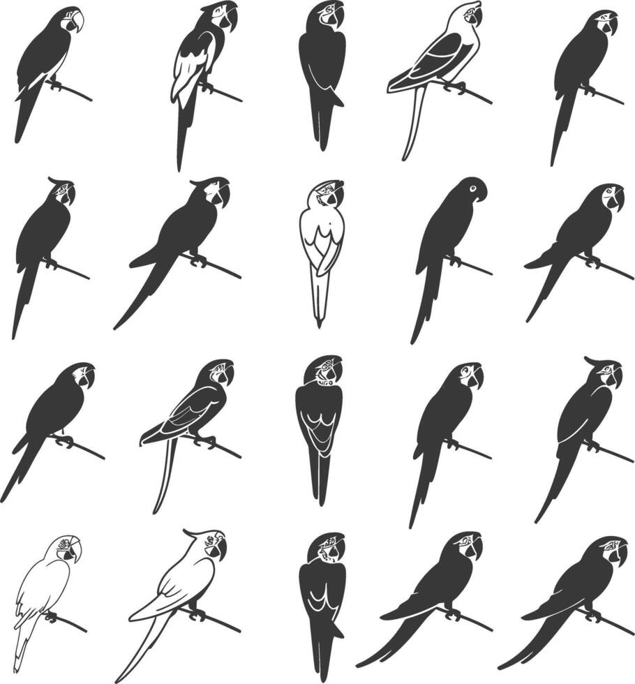 A Collection Of 20 Black And White Macaw Parrot Silhouettes vector