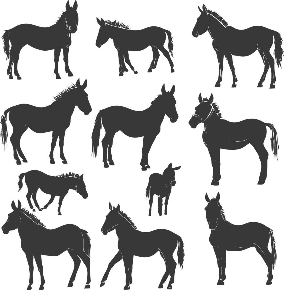 A Collection Of Black And White Donkey Silhouettes In Various Poses vector