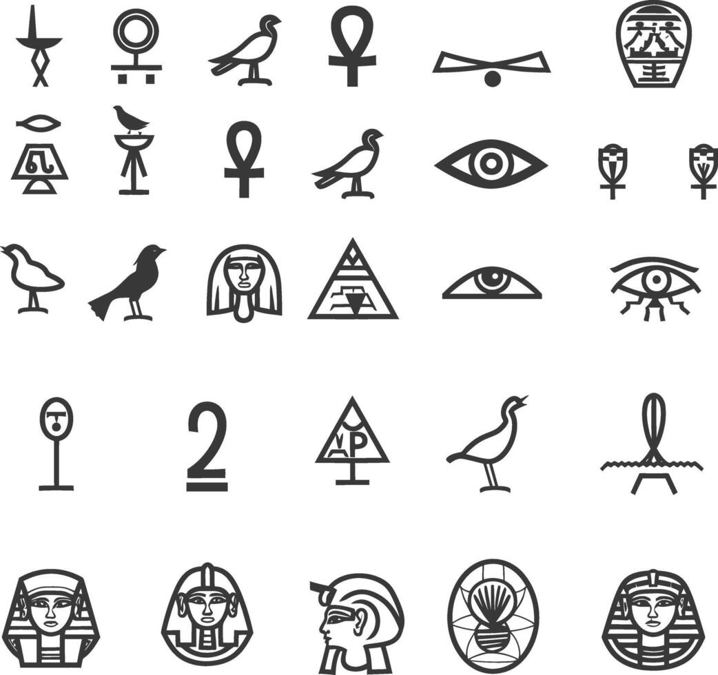 A Collection Of Ancient Egyptian Hieroglyphs And Symbols vector