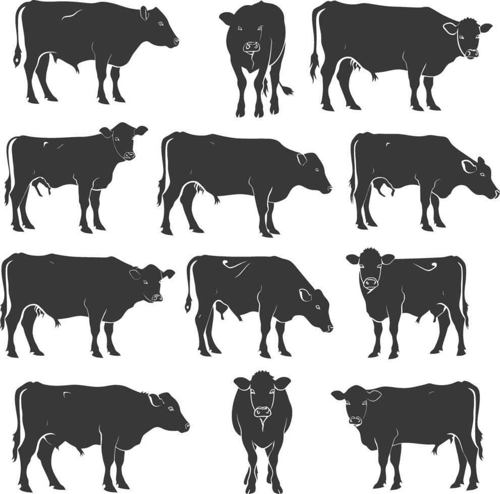 A Collection Of Black And White Cow Silhouettes In Various Poses vector