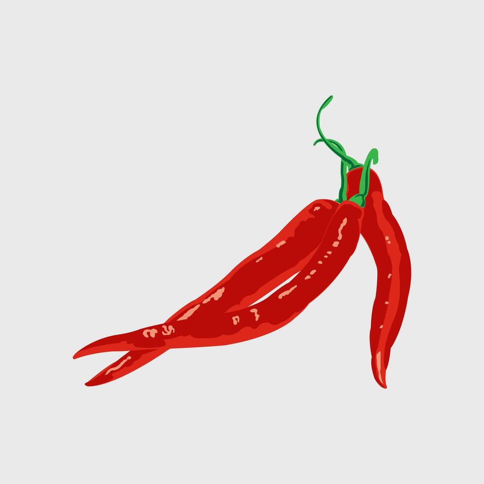 Editable illustration of a hot curly red chili pepper vector