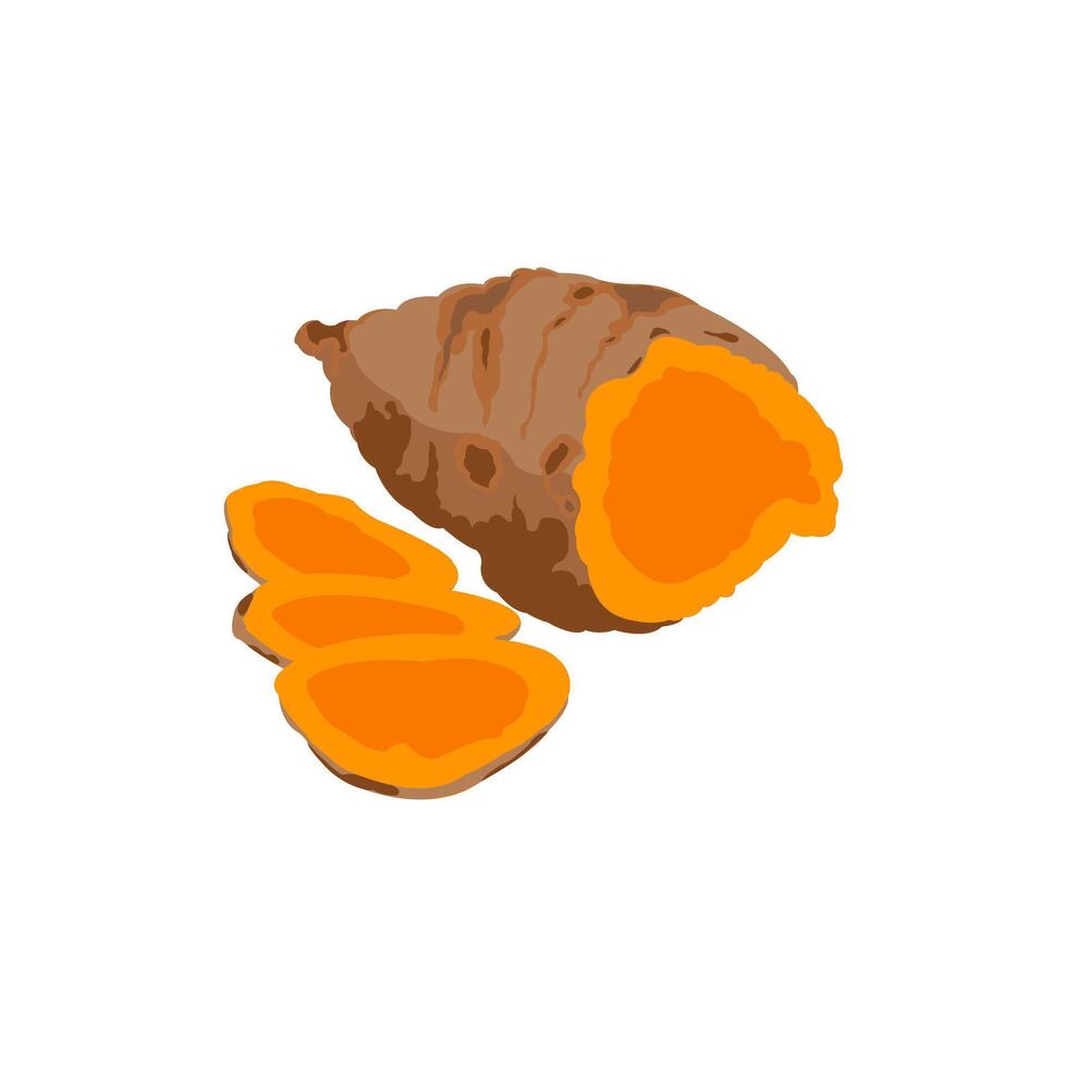 Illustration of turmeric, spice for food, editable herbs vector